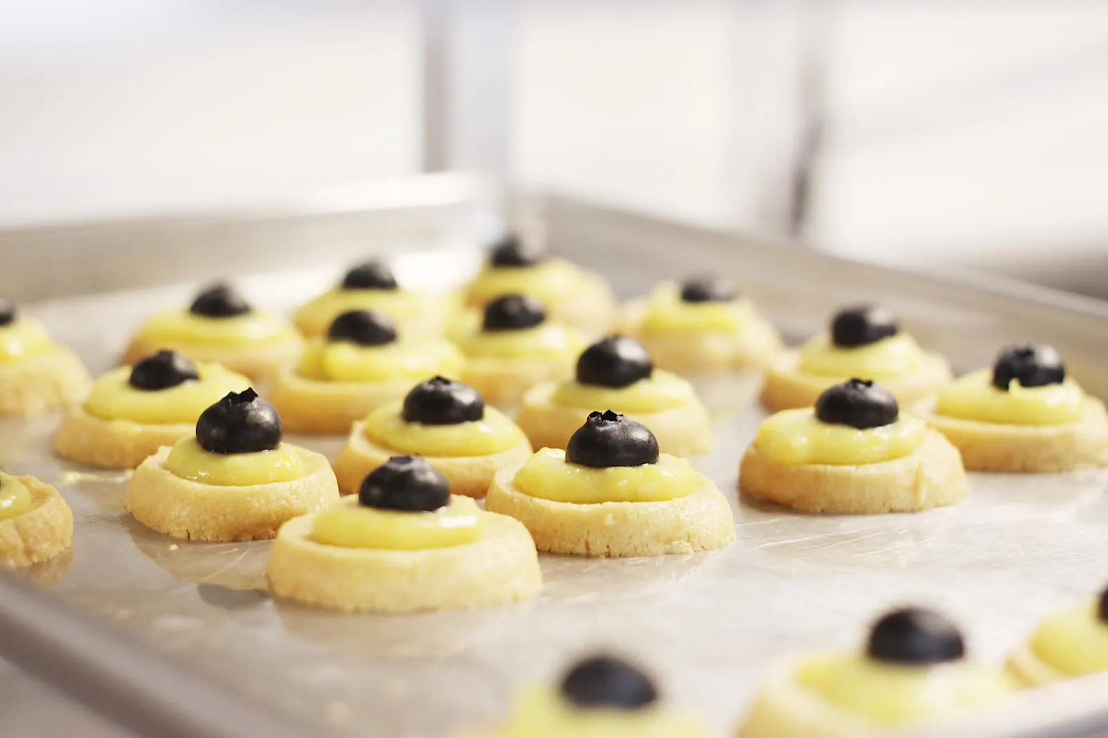 Rows of mini tarts topped with lemon curd and a blueberry